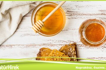Nézzük a méz fogyasztásának egyedülálló előnyeit!